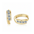 Load image into Gallery viewer, Stellar Cycle Hoop Earrings (DIMENSIONS & GOLD)
